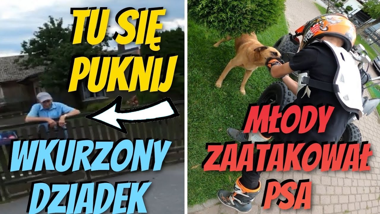 Młody pogryzł się z psem / Pan Dziadek zdenerwowany / Wyciągnął nas na błoto !
