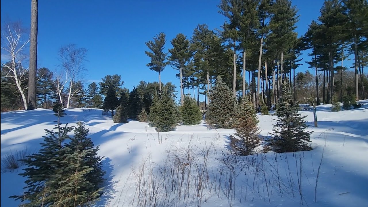 Pawtucket Farm Wildlife Sanctuary 
