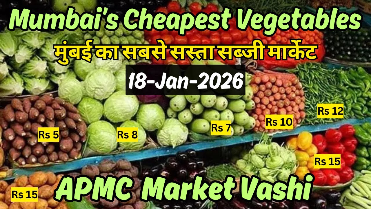 Mumbai’s Wholesale and Retail Bhaji Market | APMC Market Vashi | Wholesale Market | Sabji Mandi
