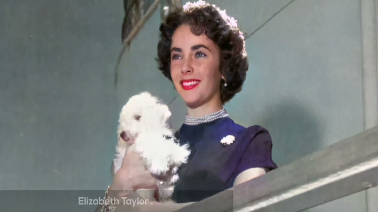Life in Vintage Cruise Liners - Life in Vintage America #nostalgia #history