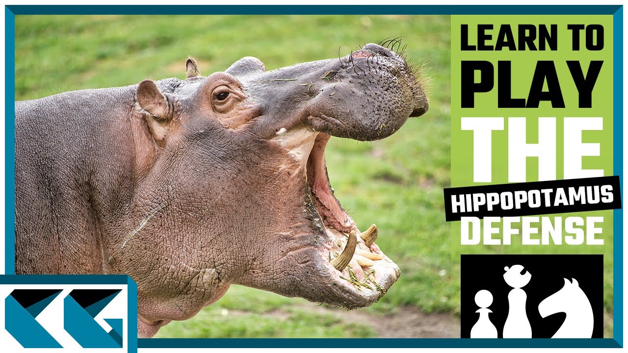 Chess Openings: Learn to Play the Hippopotamus Defense