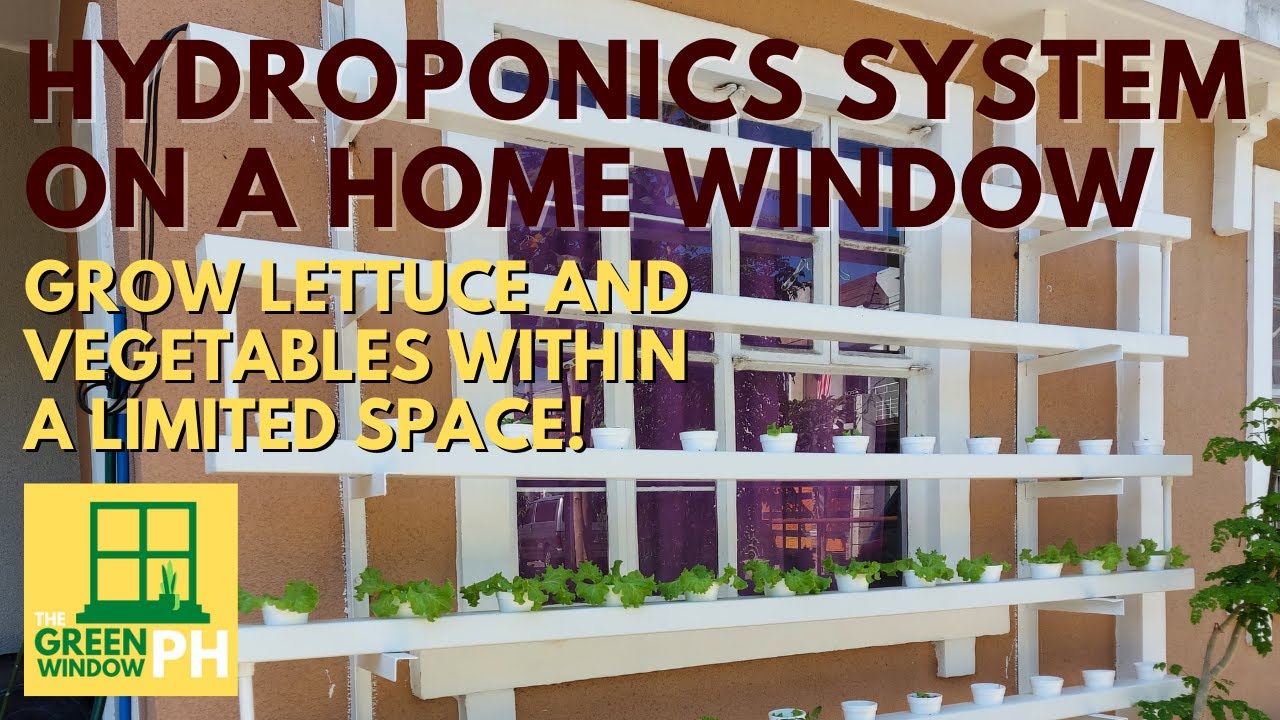 Hydroponics System on a Home Window Using Deep Flow Technique (DFT)