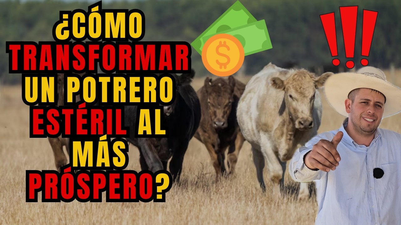 ¿Como TRANSFORMAR un POTRERO ESTERIL al MAS PROSPERO?| Ahora le presto a mis vecinos| RancheandoAndo