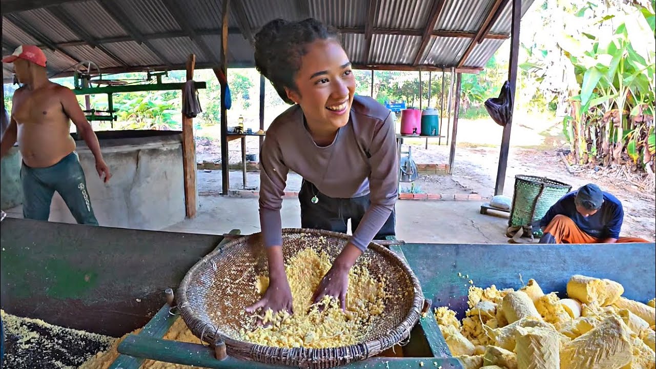 UM DIA DE TRABALHO NA ROÇA DOS MEUS AVÓS! (PRODUÇÃO DE FARINHA+ ANIVERSÁRIO DA MAMÃE) AMAZONAS