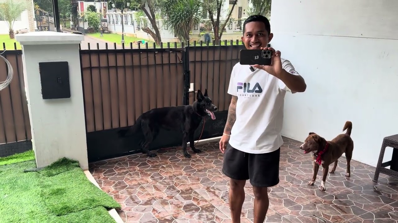 KING FLOKI DISER4NG ANJING HERDER ‼️ HERDERNYA AGRESIF KETIKA LIHAT ANJING LAIN 
