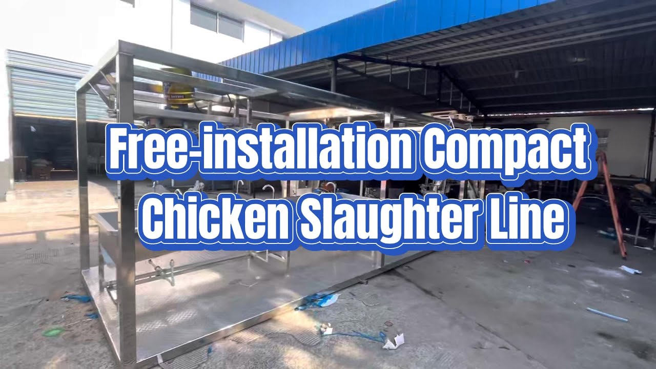 500 BPH Compact Chicken Slaughter Line | Free Installation | Poultry Processing Equipment Supplier
