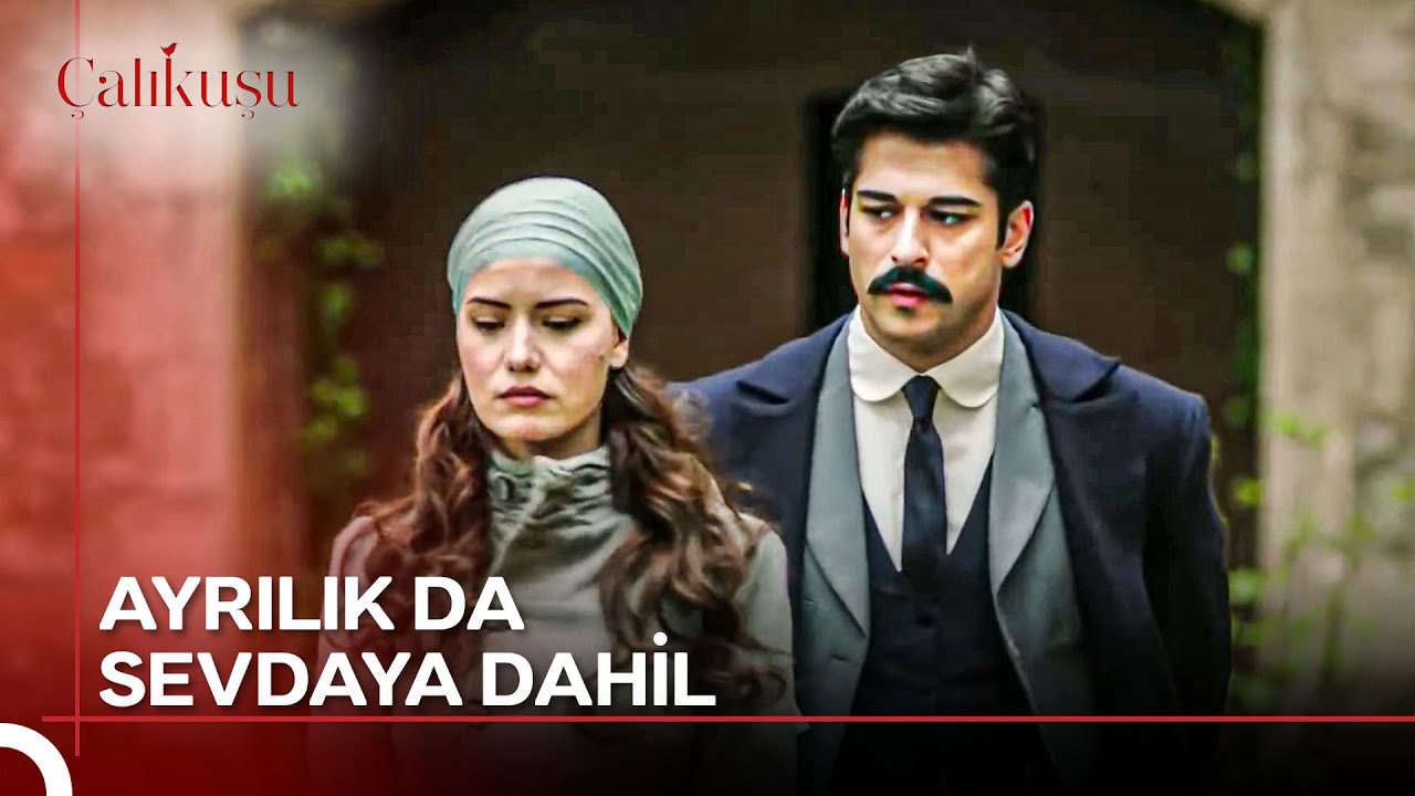 Ayrılsak Bile Kopamayız Biz! | Çalıkuşu