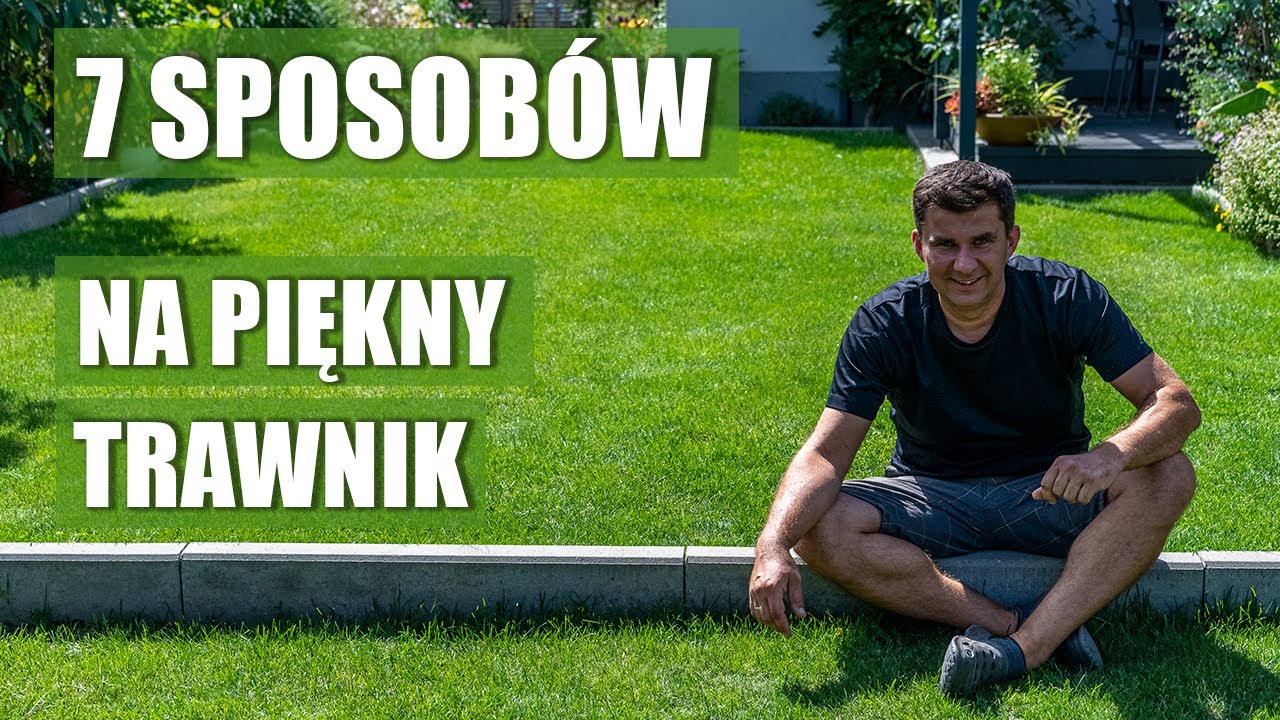 Sposób na zielony trawnik. 7 Kroków do sukcesu