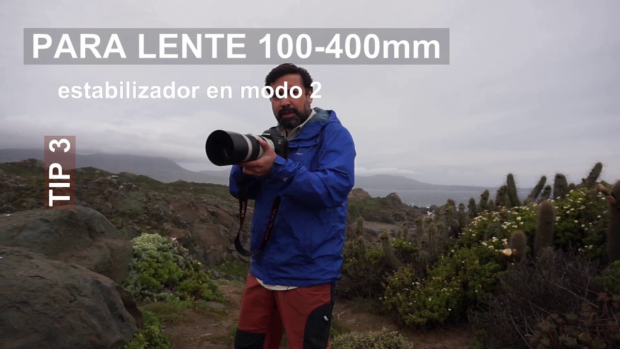 Fotografía de Barrido aplicado a Aves