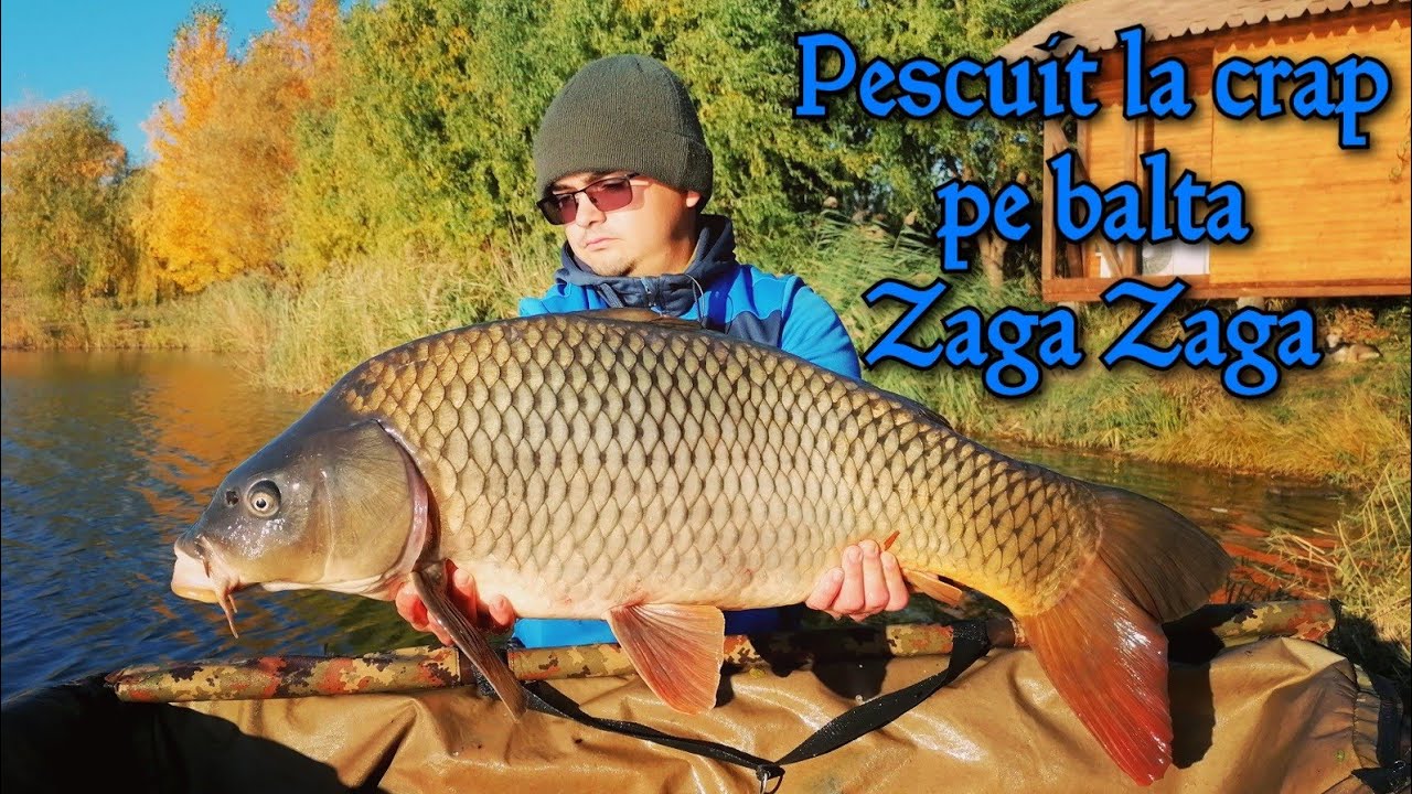 Pescuit la CRAP pe balta ZAGA ZAGA - strategii de toamnă