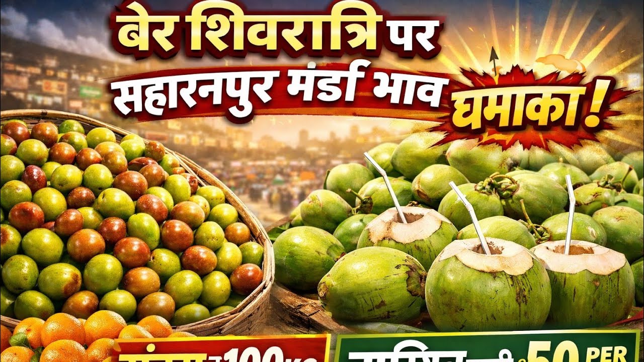 सहारनपुर मंडी में बेर शिवरात्रि पर  मंडी में ज़बरदस्त धमाका”  | नारियल पानी ₹50”🔥 संतरा ₹100kg | 