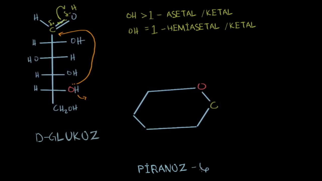 Karbohidratlar: Halka Şeklinde Yapılar ve Anomerler (Fen Bilimleri) (Biyoloji) (Kimya)