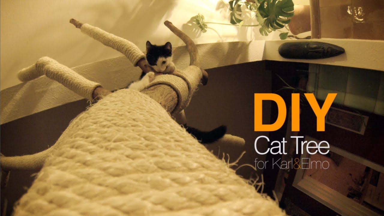 DIY Cat Tree | Cattree | Kratzbaum | D.I.Y. | Karl & Elmo