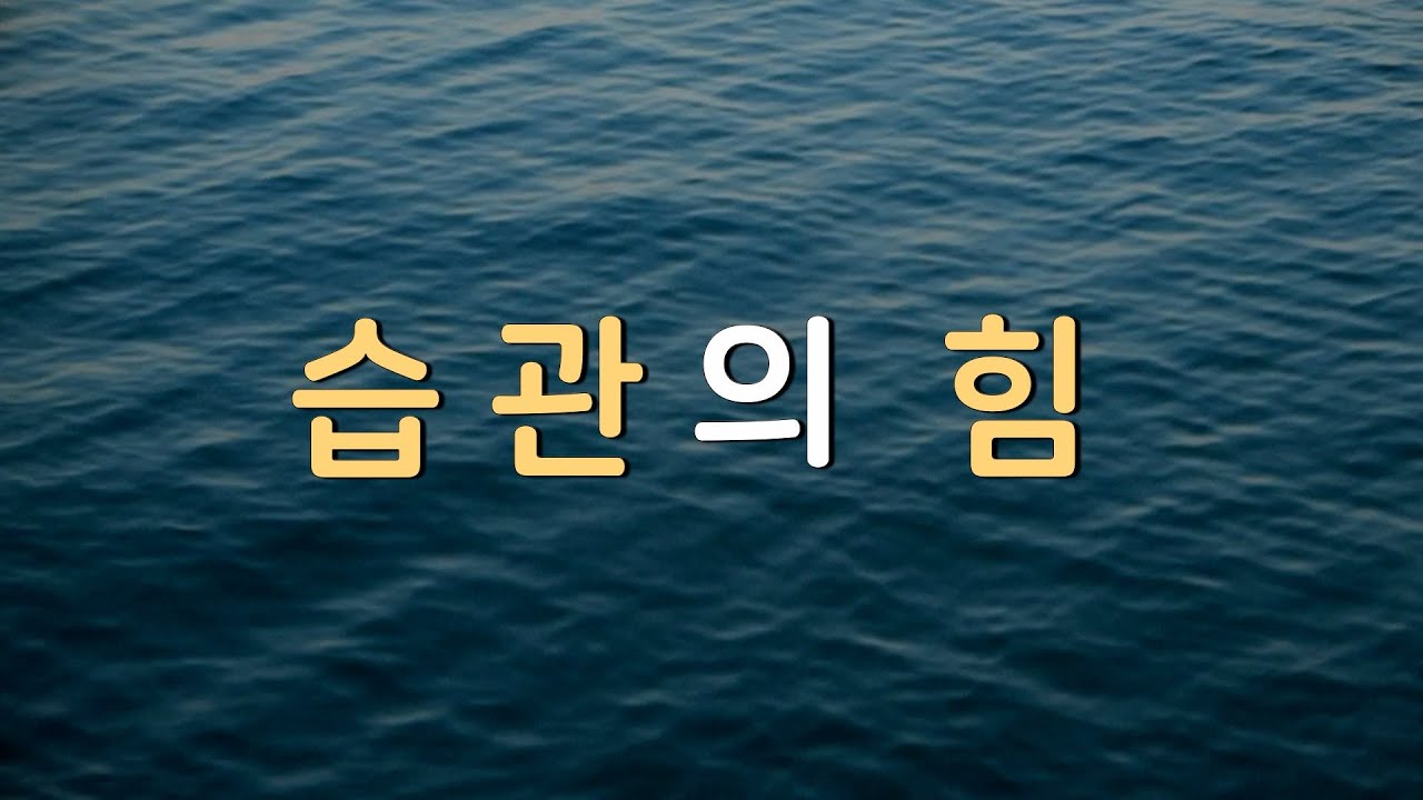 어제의 내가 오늘의 나를 지지하고, 오늘의 내가 내일의 나를 지지한다
