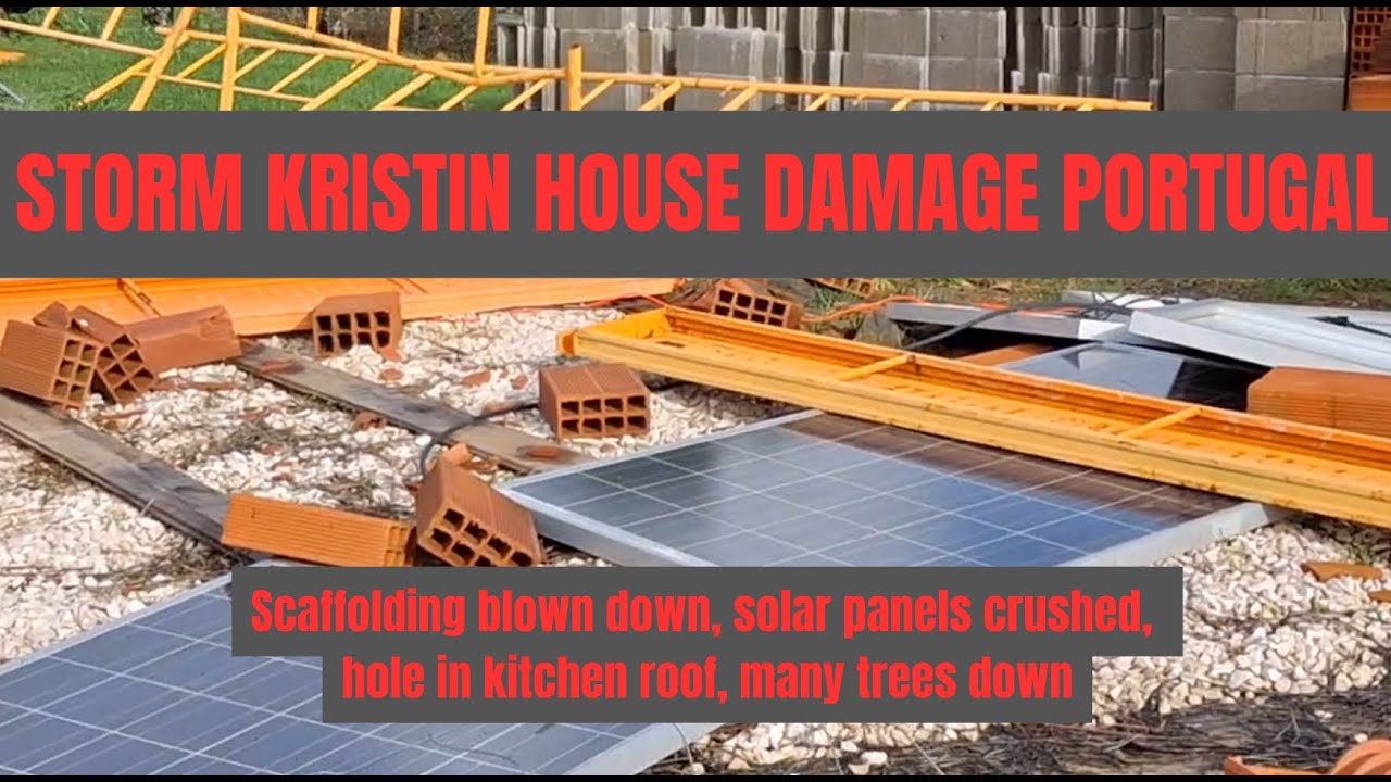 Storm Kristin Portugal 2026 Aftermath – House Assessment and Clearing Fallen Trees