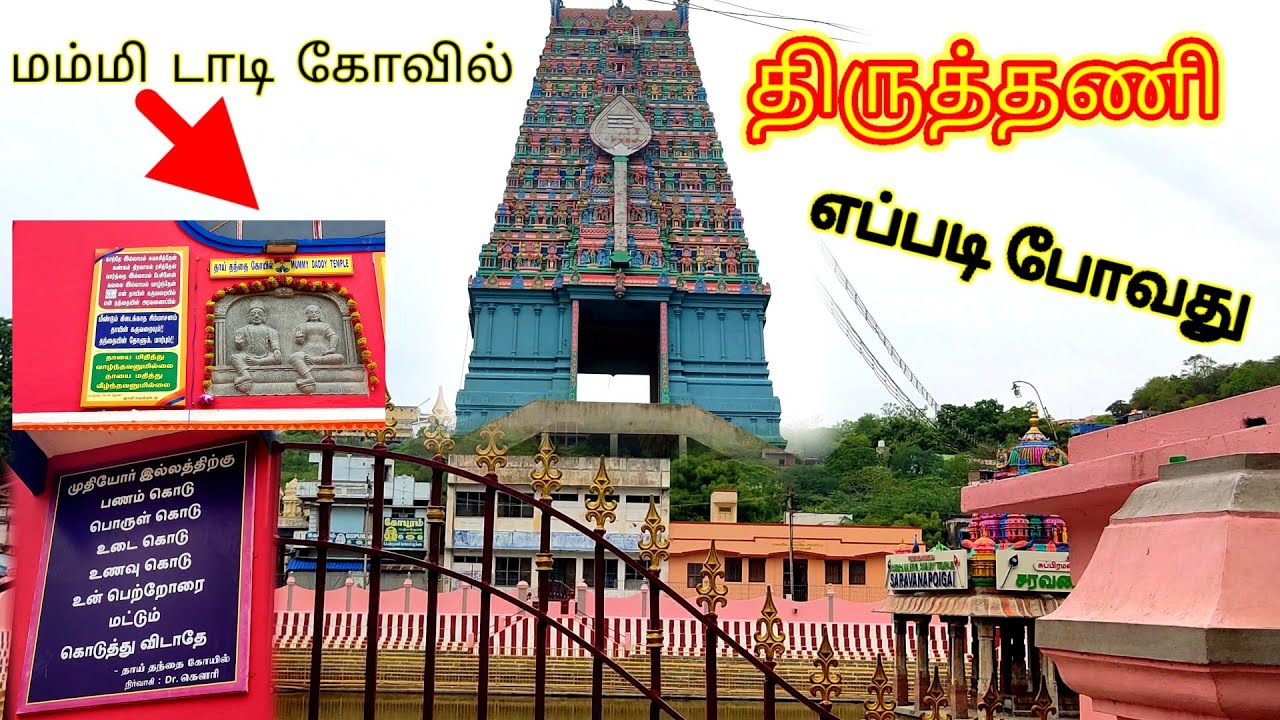 travel to thiruthani | thiruthanigai malai murugan temple | full vlog (17-06-2023) #maduraimani