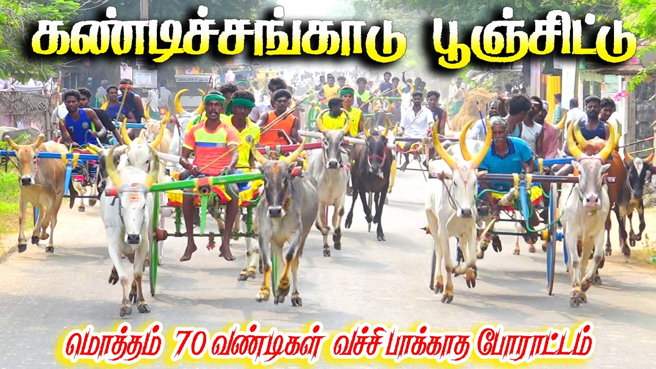 கண்டிச்சங்காடு பூஞ்சிட்டு 1 பந்தயம் 09.03.2026