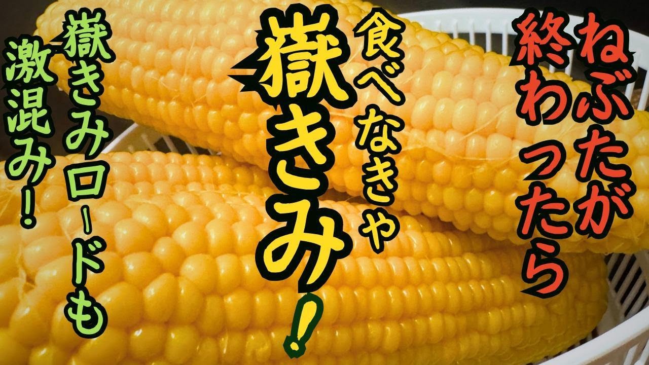 知名度爆上げ！嶽きみ大人気過ぎ！