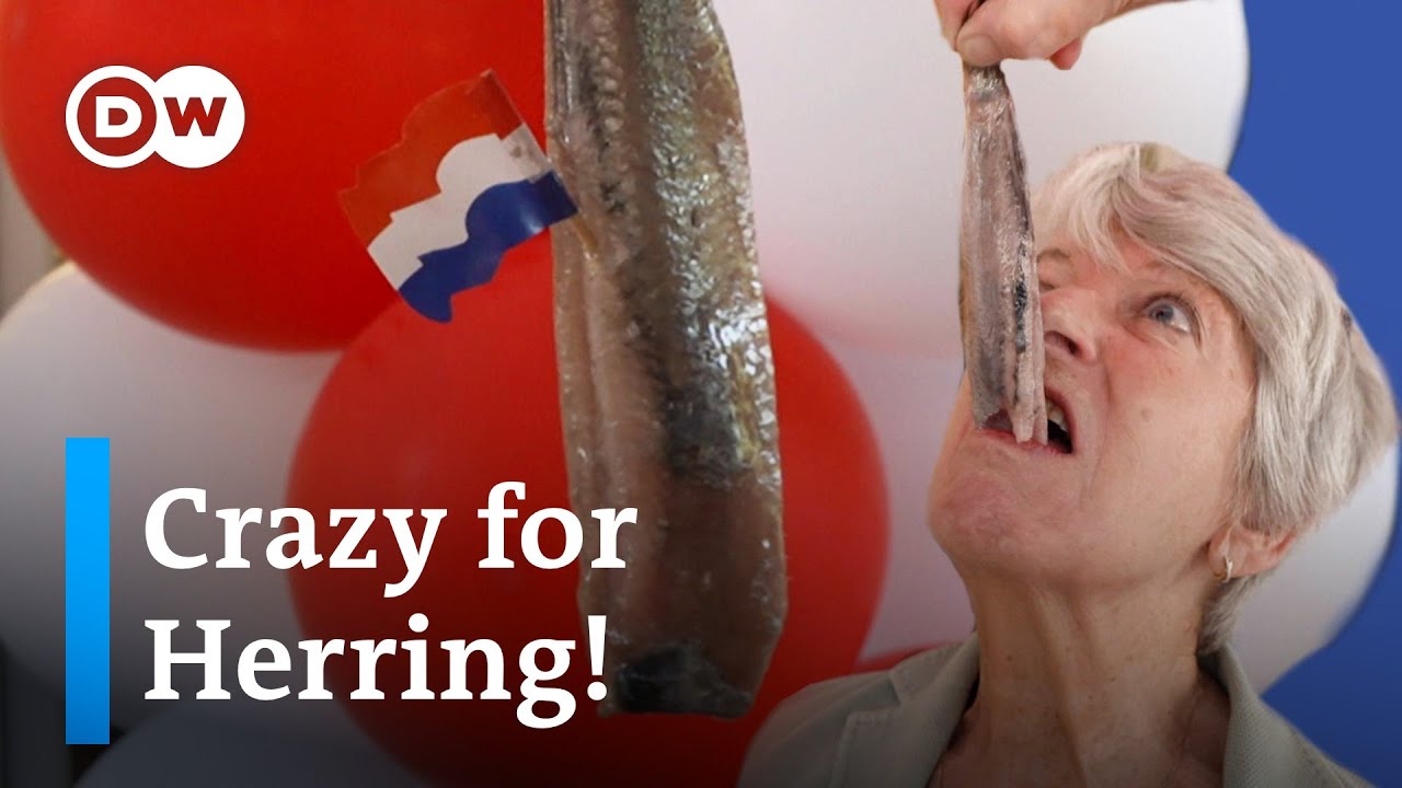 Why the Dutch LOVE herring | The Netherlands’ Best Street Food