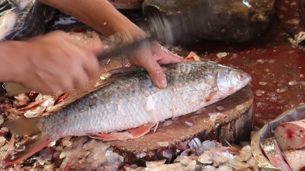 Amazing Mrigal Fish Skills | Mrigal Fish Vs Knife | Natural Fish Processing