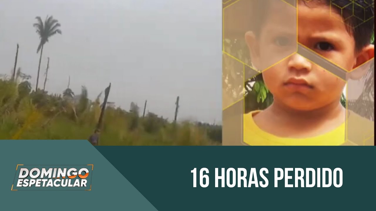 Menino de 2 anos sobrevive 16 horas perdido na floresta com a ajuda de cães