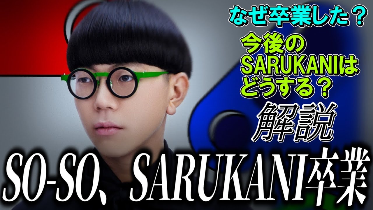 SO-SOのSARUKANI卒業を解説【ビートボックスゆっくり解説】