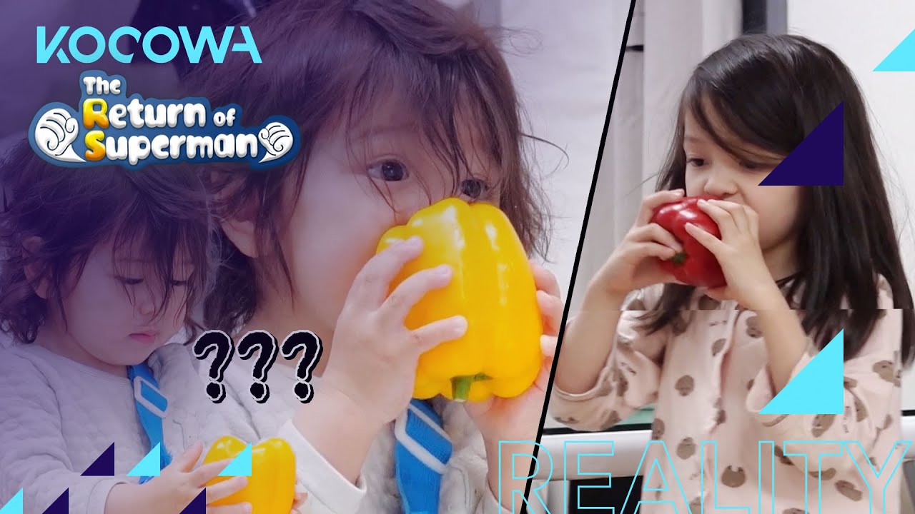 Jin Woo notices the food on the table [The Return of Superman Ep 386]