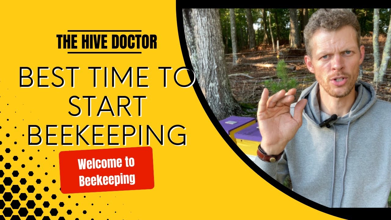 Now!! Is the Best Time to start Beekeeping 