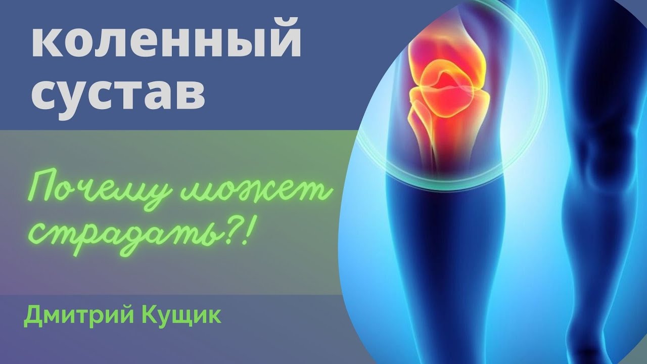 КОЛЕННЫЙ СУСТАВ | Анатомия, визуальная диагностика и коррекция | Кинезиолог Дмитрий Кущик
