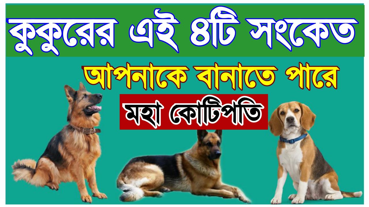 কুকুরের এই ৪টি সংকেত আপনাকে বানাতে পারে মহা কোটিপতি || how to become a rich | share market trading