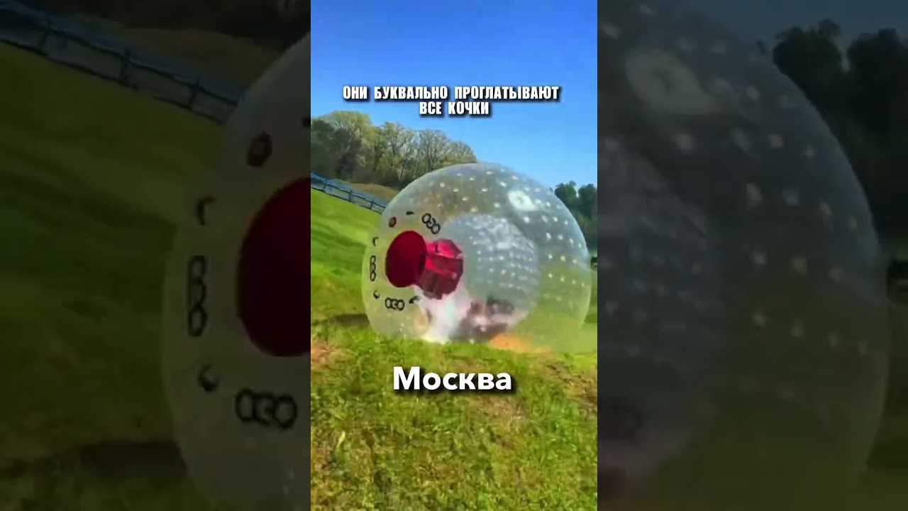 Закатился в шар &mdash; откатило сознание 💫 Зорбинг в Москве, держи мозги!#зорбинг #москва #экстрим