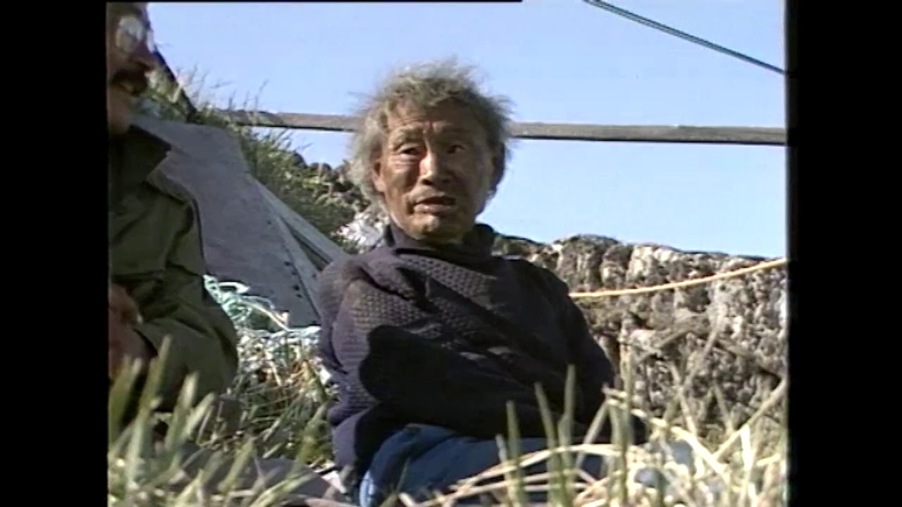 Aataalia, KNR 1983