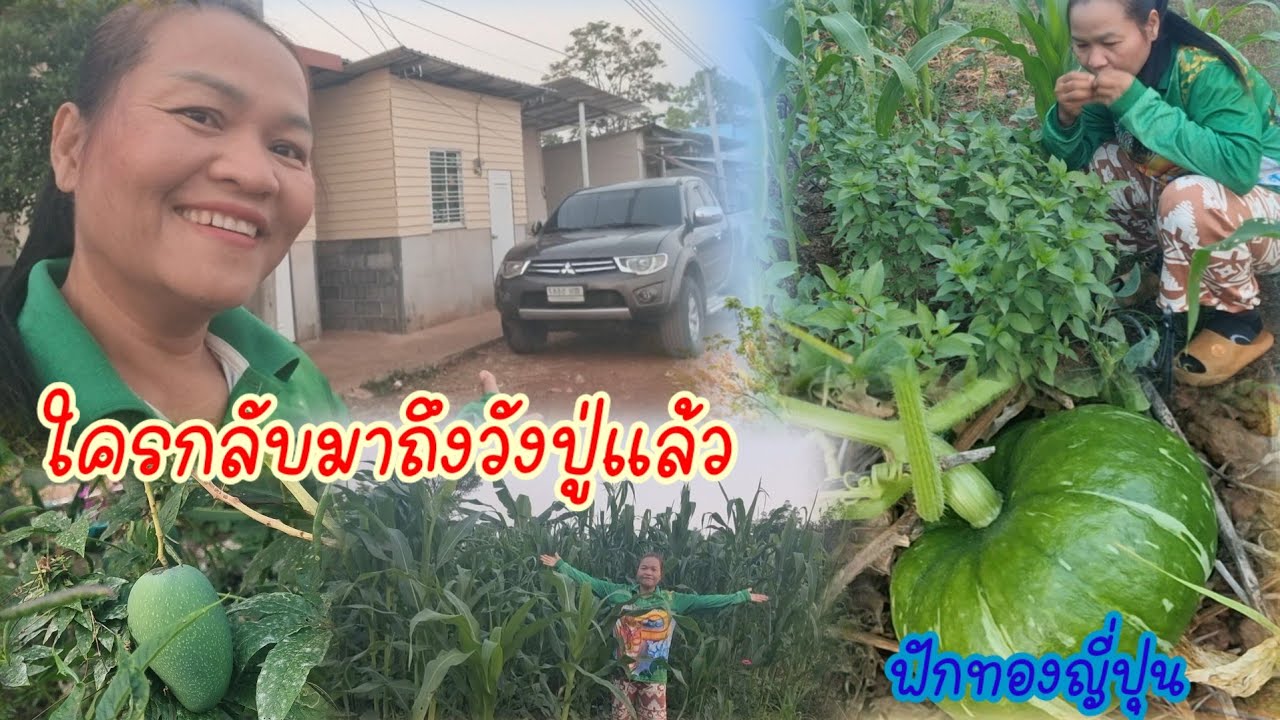 ใครกลับมาถึงวังปู่แล้ว..ตามหาคู่หูหาย?..เจอแบบนี้ตะลึง!!