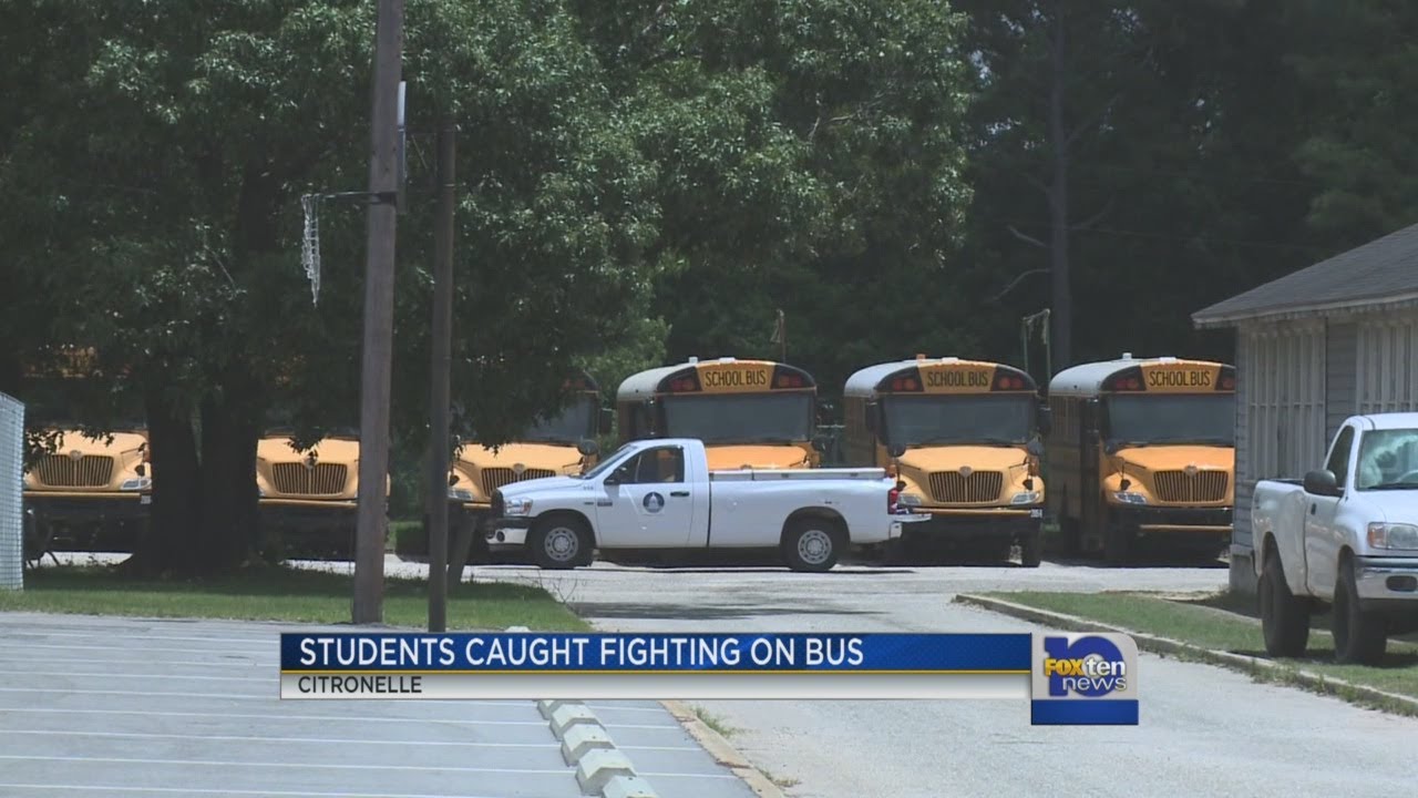 Video of a fight on a school bus raises questions