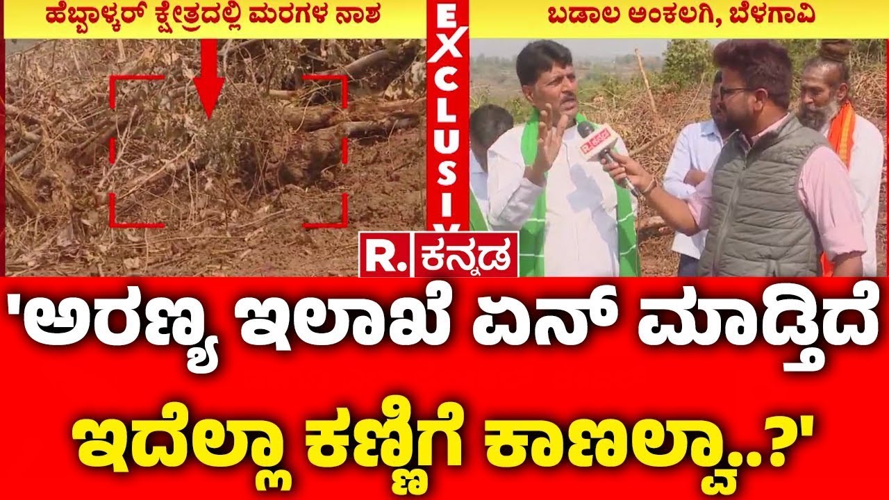 Large-scale Tree Destruction In Belagavi : 'ಅರಣ್ಯ ಇಲಾಖೆ ಏನ್ ಮಾಡ್ತಿದೆ ಇದೆಲ್ಲಾ ಕಣ್ಣಿಗೆ ಕಾಣಲ್ವಾ..?'