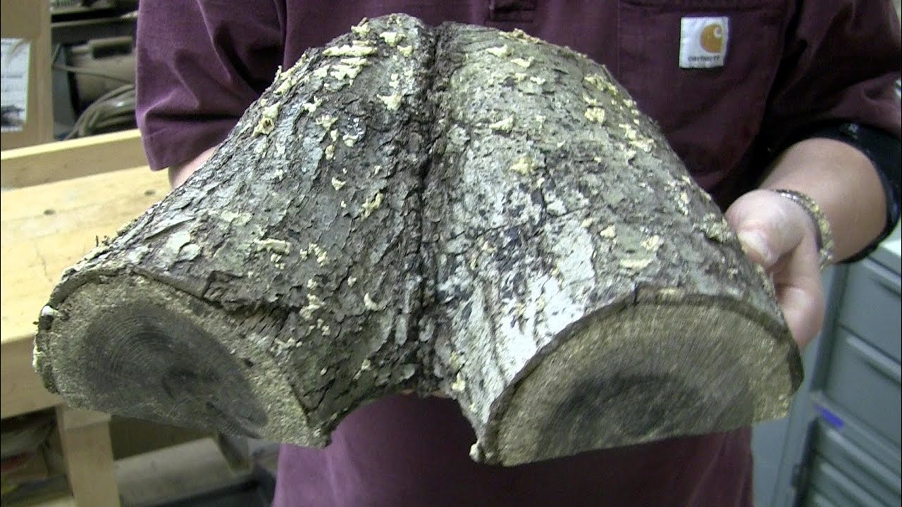 Maybe The Ugliest Bowl Ever? - Wood Turning