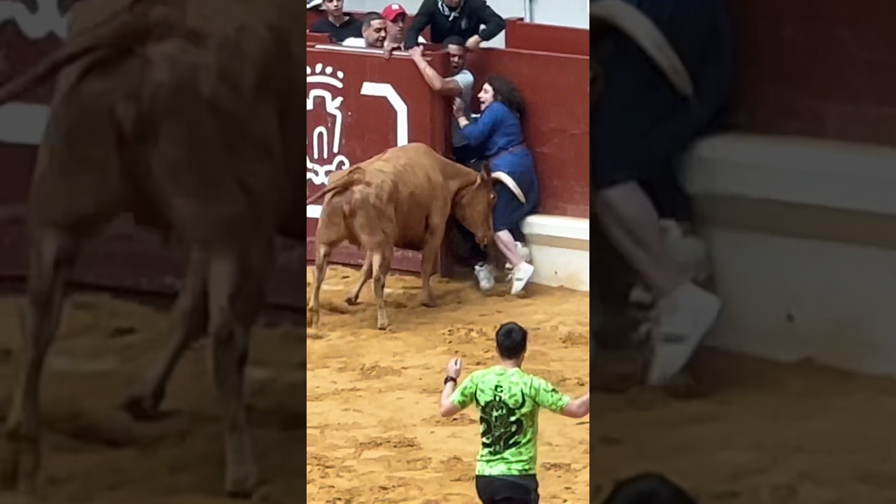 #bull#attack#bullrun #bullfestival #toro #vaquillas#espa&ntilde;a #2025#