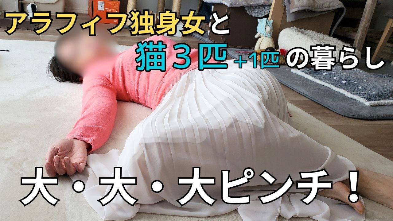 【アラフィフ独身女&times;猫４匹】大大大ピンチ！来月から新年度なのに詰んだ
