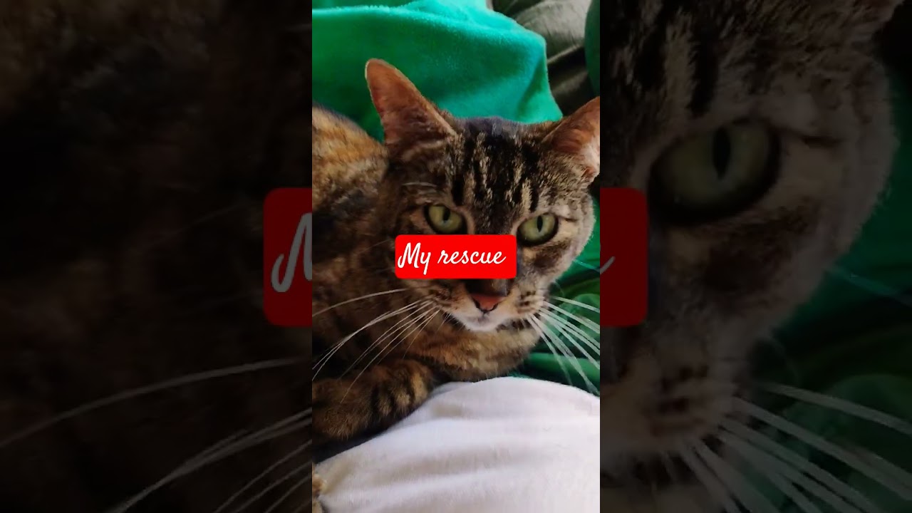 just precious 