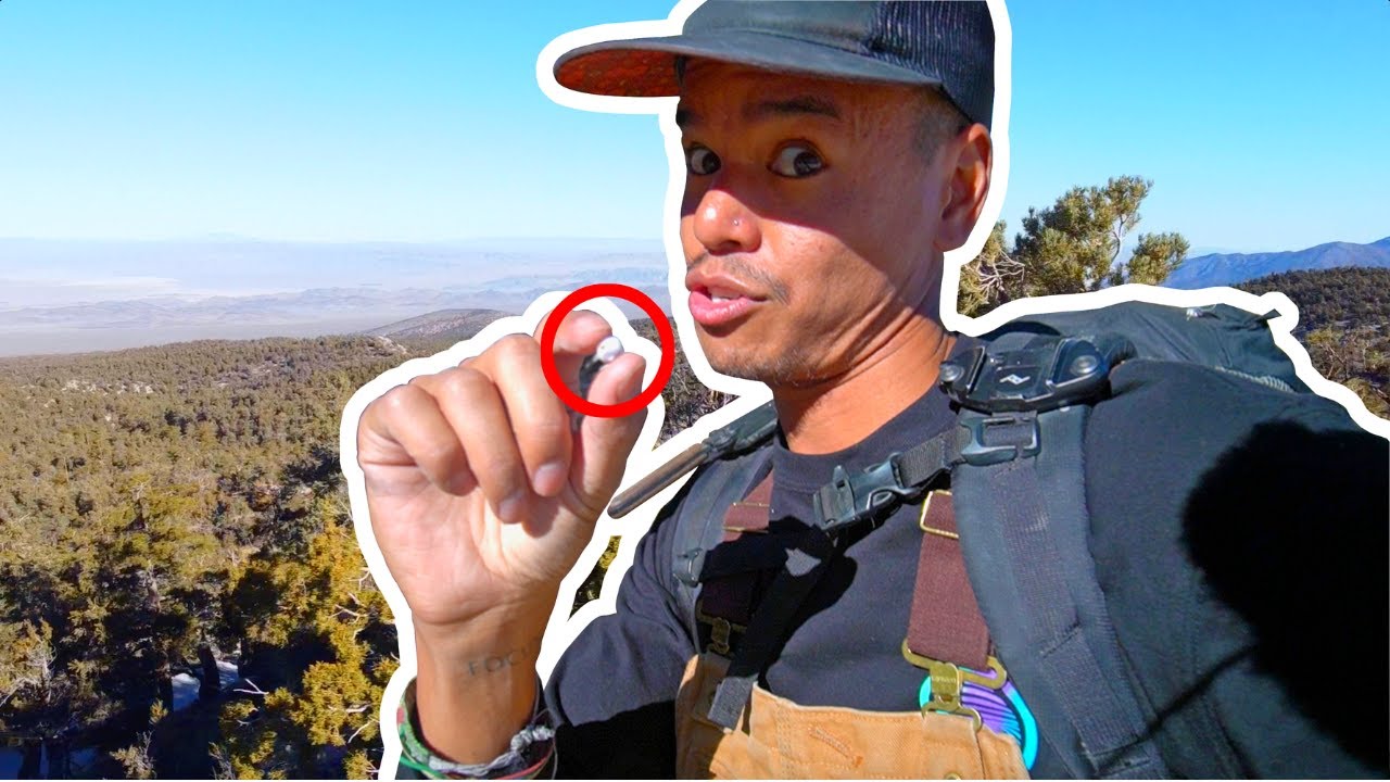 These Berries Make Gin! Plant Science Backpacking Trip