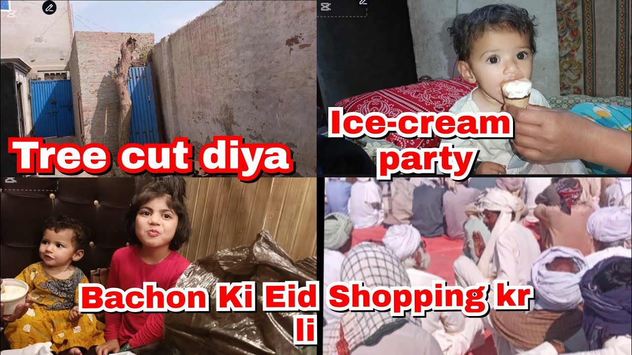 Tree kaat diya||Ice Cream Party||Bachon Ki Eid ki shopping Kr li