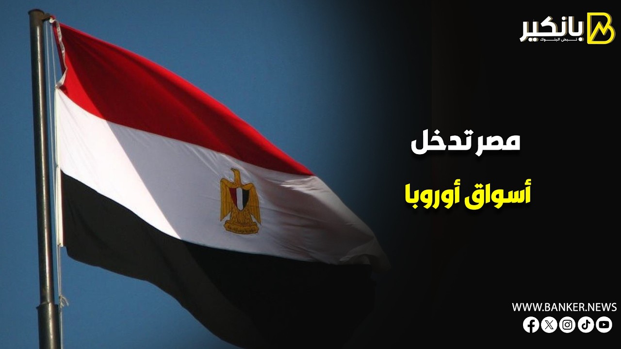 بمعايير عالمية.. السمك المصري يفتح أبواب 