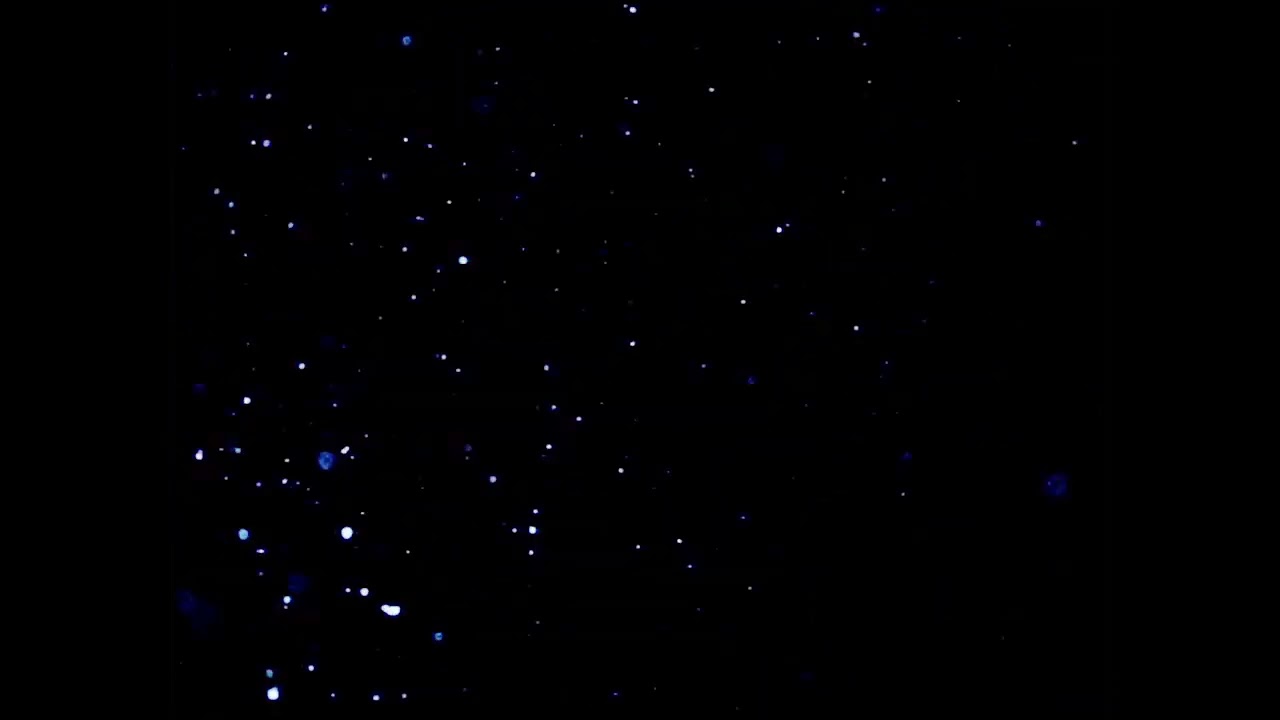 snow with strobe light, 2011