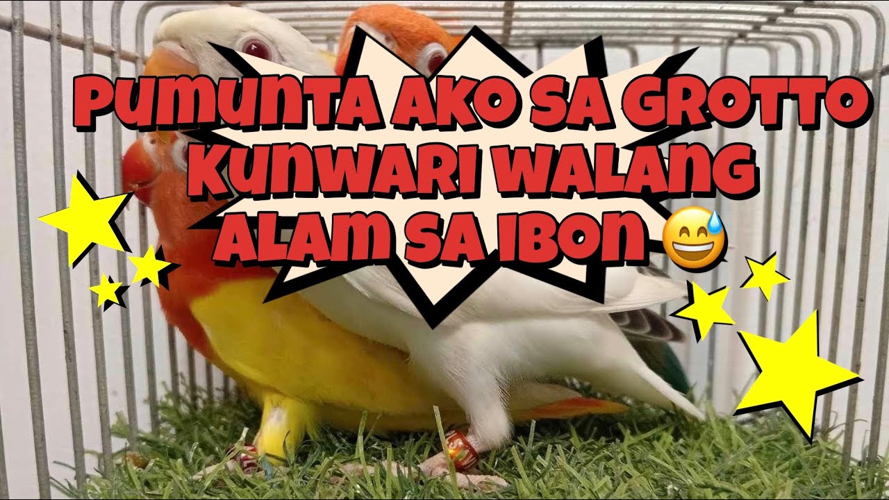 Ibon At Iba Pa Goes To Grotto | Kunwari Newbie