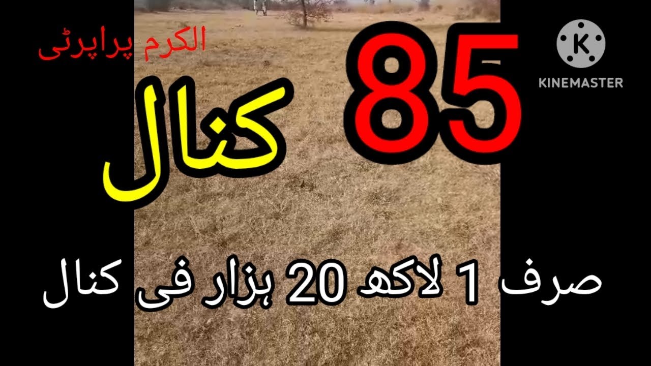 85 کنال شاندار زرعی زمین ضلع چکوال تحصیل چکوال الکرم پراپرٹی چکوال 