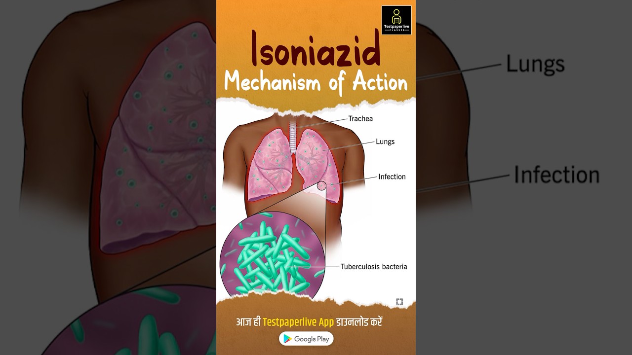 Isoniazid: Mechanism of Action | Anti-TB Drugs #testpaperlive #isoniazid #tb #drugs #shortvideo