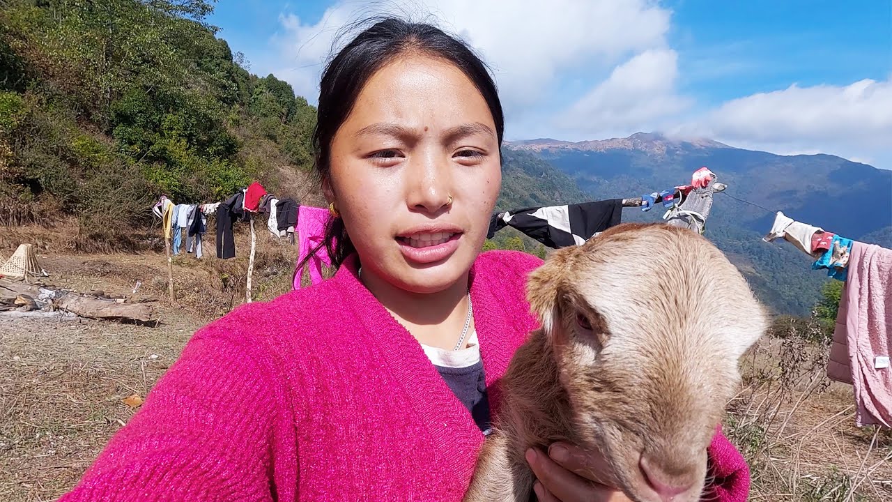 shepherd life of Nepal || Himalayan life of Nepal || pastoral life of Nepal || @manjitacooking