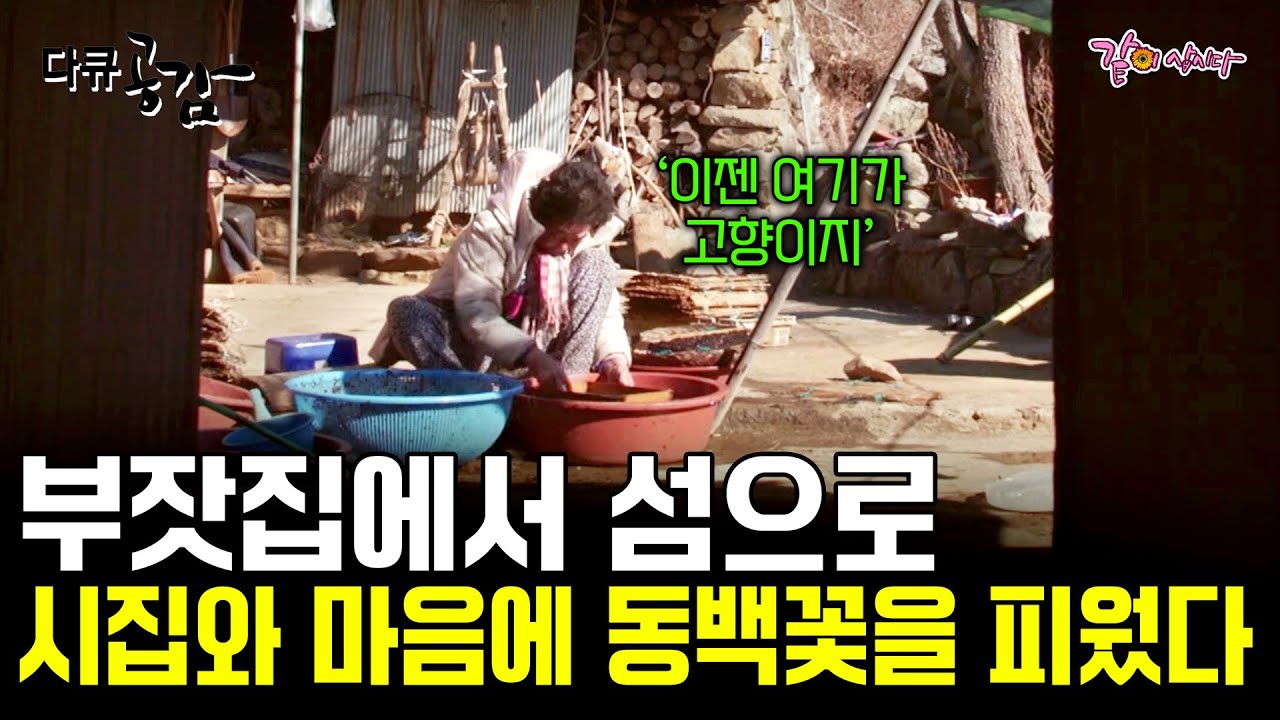[다큐공감] 가슴 속에 ‘사랑’ 한 번 품지 않은 인생이 어디 있으랴. 고난 속에 피어나는 동백의 행방은 어디일까...ㅣKBS 2019.04.14
