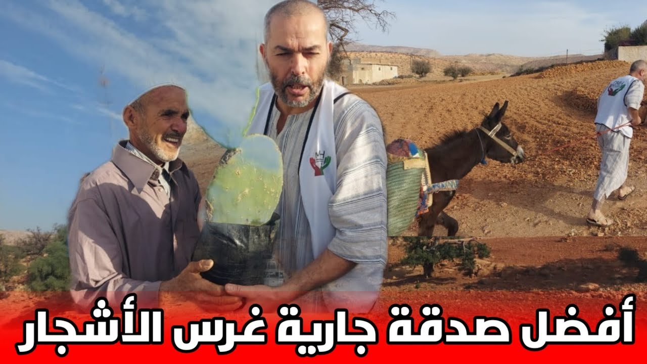 🔴أفضل صدقة  غرس الصبار والزيتون والخروب للفلاح الضعيف أكادير ايت حمو  @MAROC_RIF