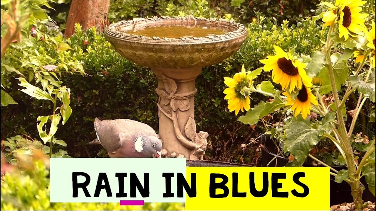 Rain in blues